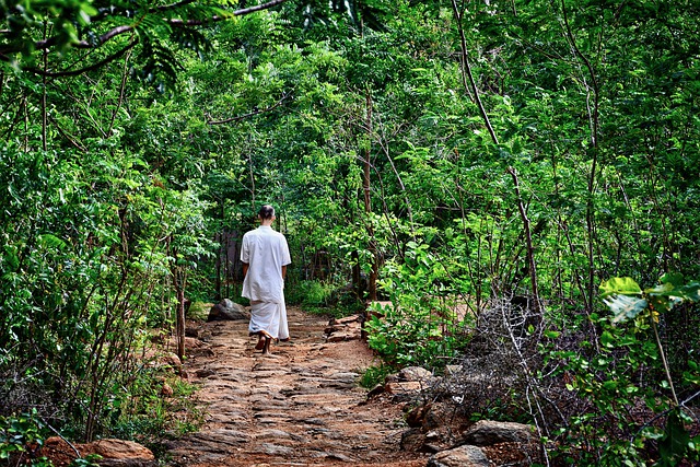 Meditare in cammino